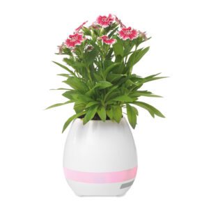 Bluetooth klar, Flor, valge