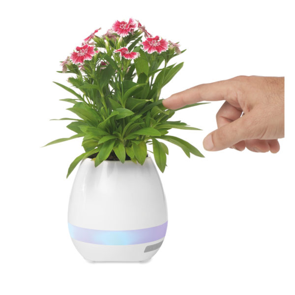 Bluetooth klar, Flor, valge