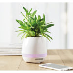 Bluetooth klar, Flor, valge 2