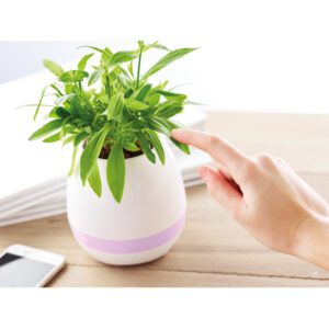Bluetooth klar, Flor, valge
