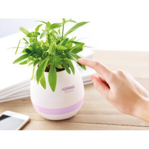 Bluetooth klar, Flor, valge