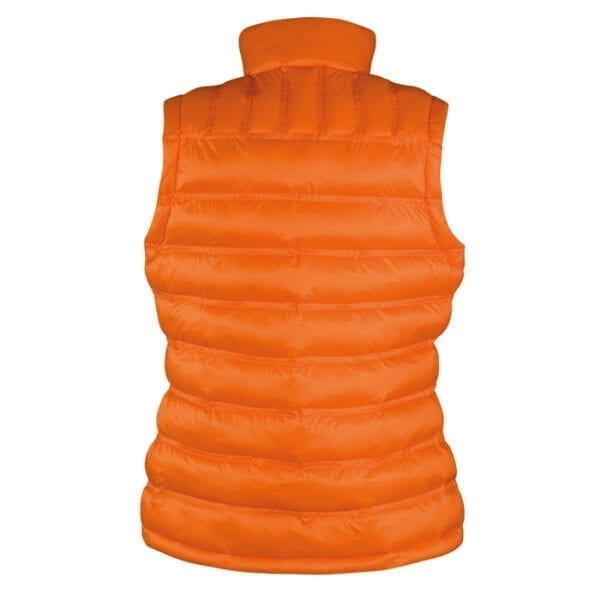 Naiste vest ,Ice Bird Gilet