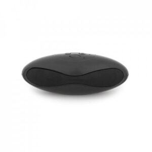 EUCLID. Speaker with microphone - Image 4