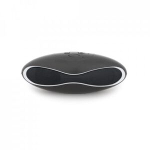 EUCLID. Speaker with microphone - Image 5